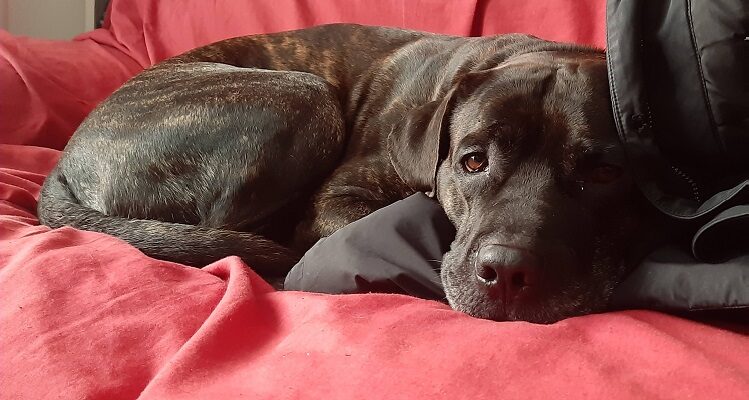 Perché si soffre di depressione? Quali sono le cause?